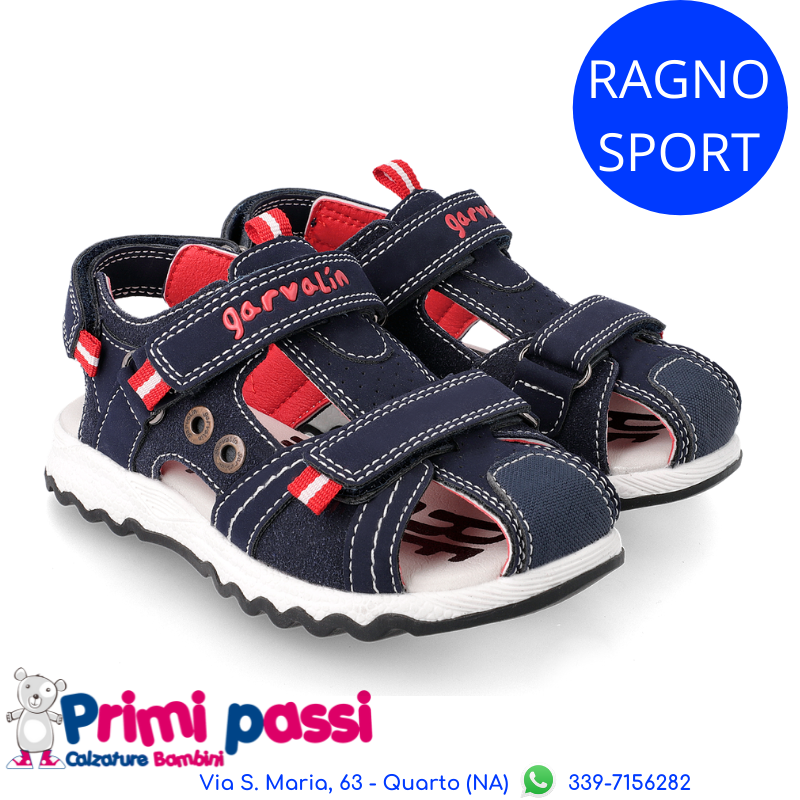 Ragno Sportivo Blu/Rosso