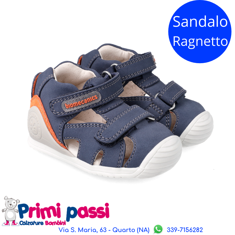 Ragnetto Primi Passi Blu Oceano