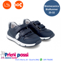 Biomechanics BioEvolution Ocean (25-33)