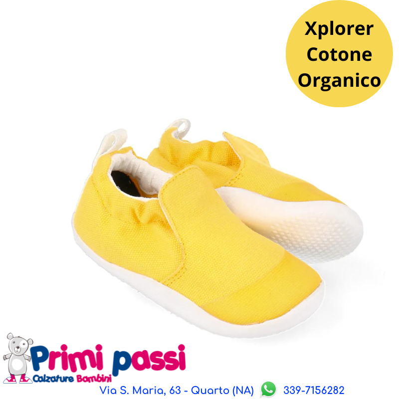 Xplorer Scamp - Yellow