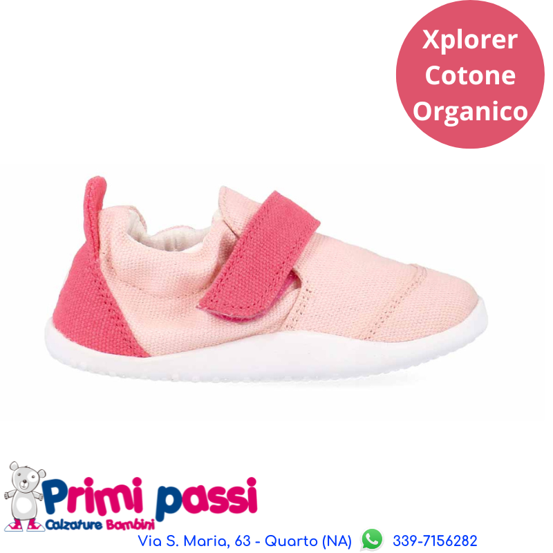 Xplorer Scamp Organic - Seashell