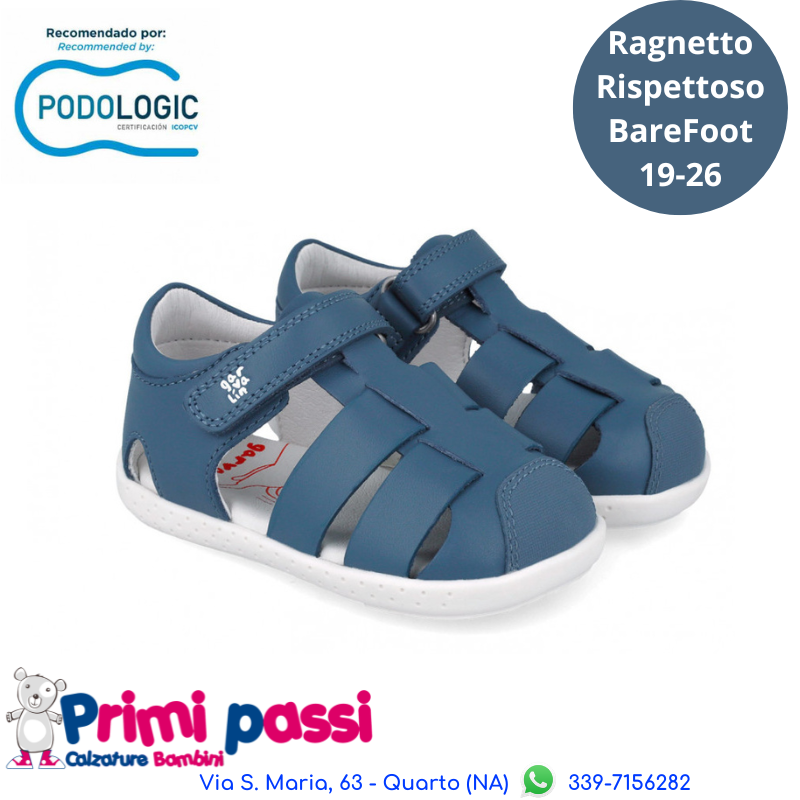 Ragnetto Primi Passi Tidal Oceano
