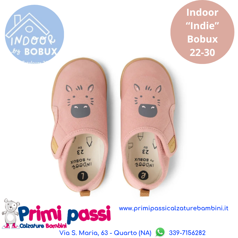 Indoor Zeb Rose Clay