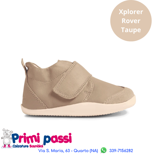 Xplorer Rover - Taupe