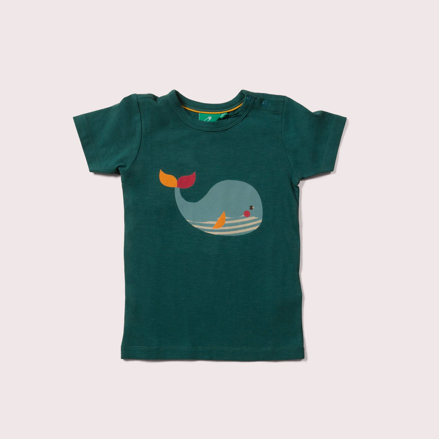 Male Whale T-shirt (18M-5A)