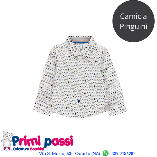 Camicia Pinguini Maschietto 18M-6A