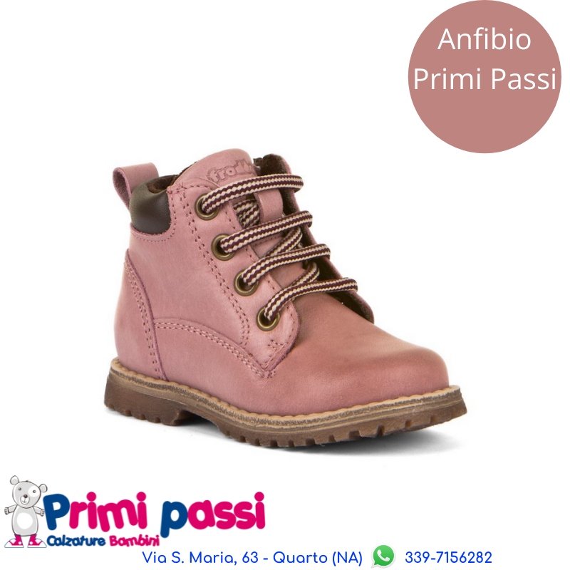 Froddo Anfibio Rosa