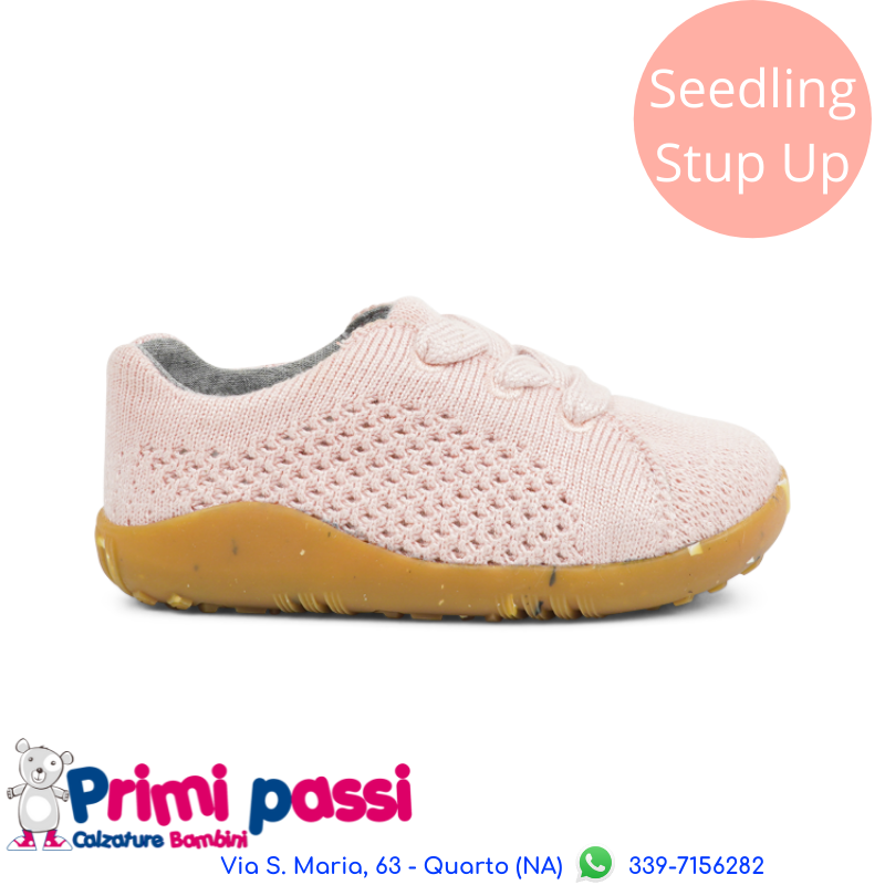 Seedling Rosa - Step Up