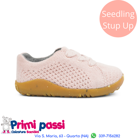 Pink Seedling - Step Up