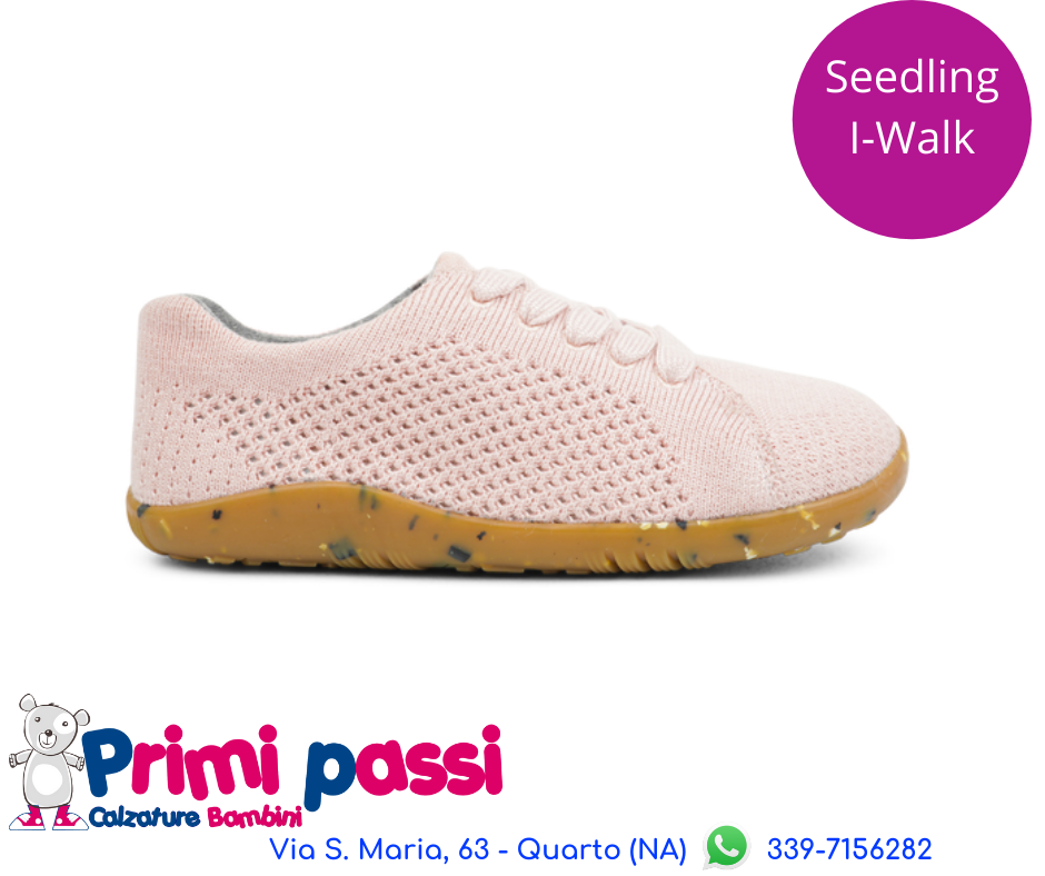 Seedling Rosa - I Walk